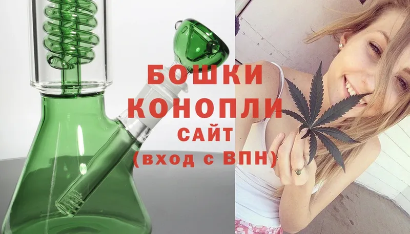 купить наркотик  Каргополь  Канабис THC 21% 